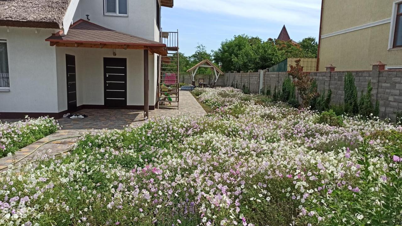 Eco House 호텔 초르노모르스크 외부 사진